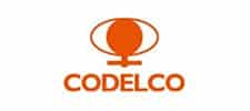 partcom-codelco